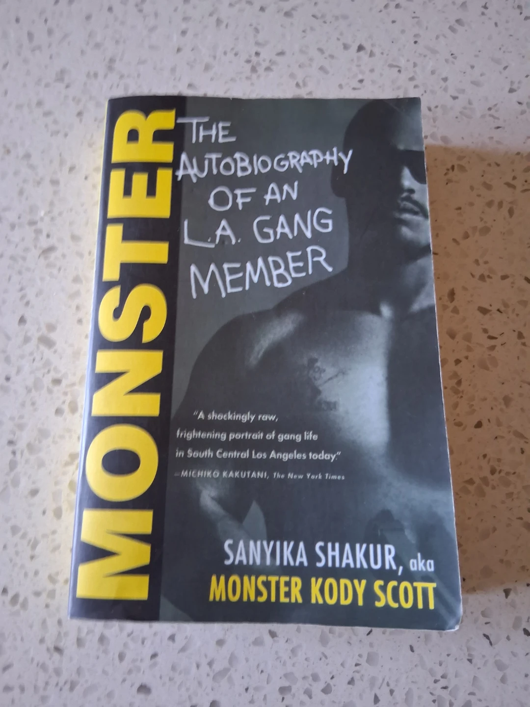 Monster the autobiography of