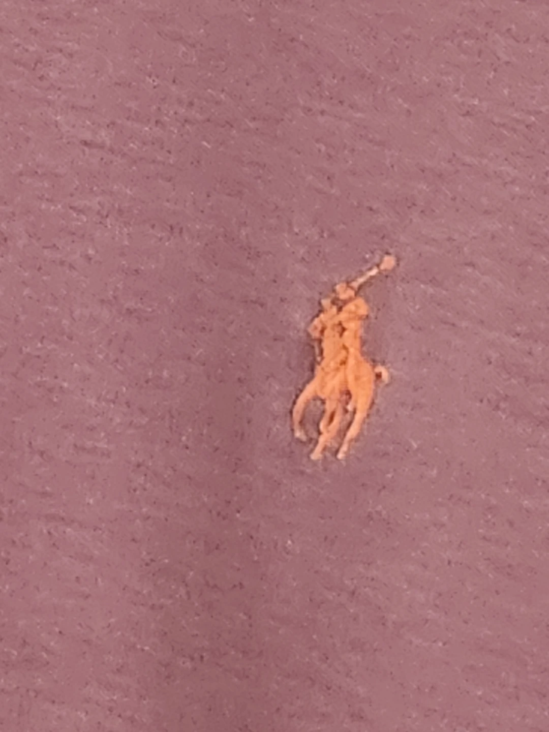 Polo by Ralph Lauren purple polo shirt - size M - photo 3
