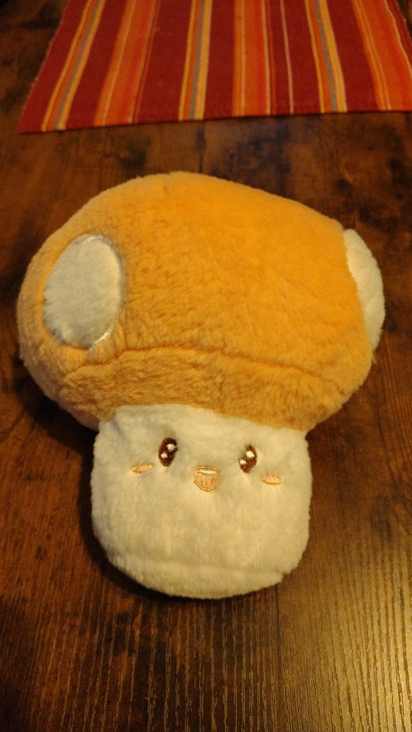 🏈  mushroom stuffy