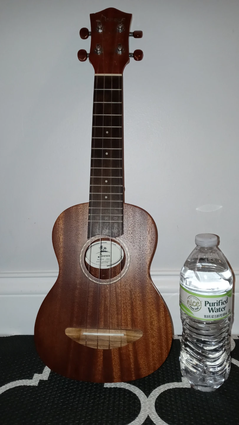 Donner DUS-1 Soprano Ukulele Set - photo 2