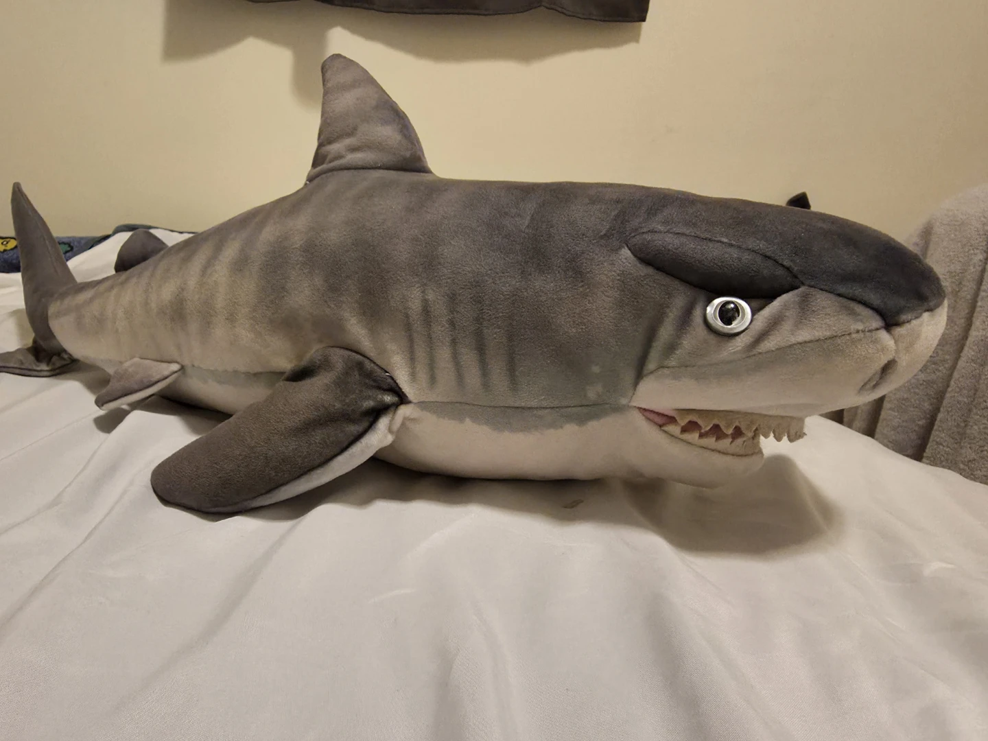 Shark Plush Toy