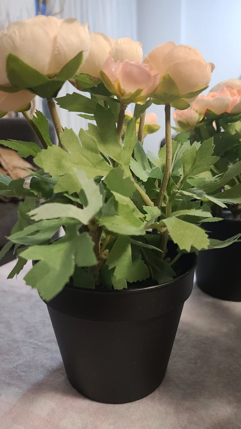 Set of 6 Ikea flowers + 🎁 gift - photo 4