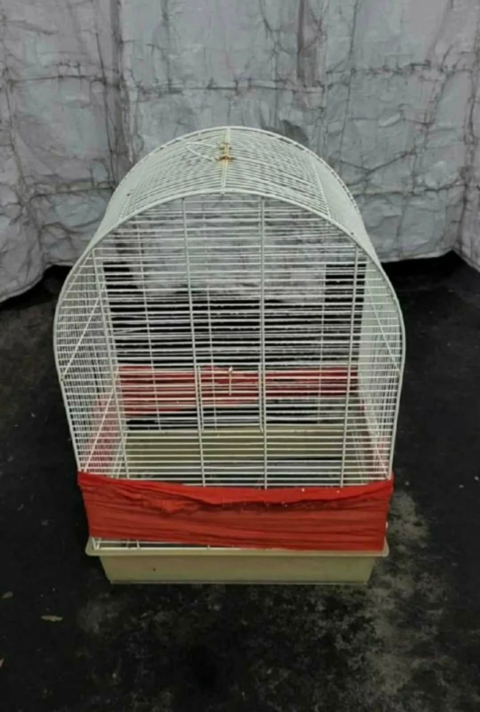White Dome Top Bird Cage