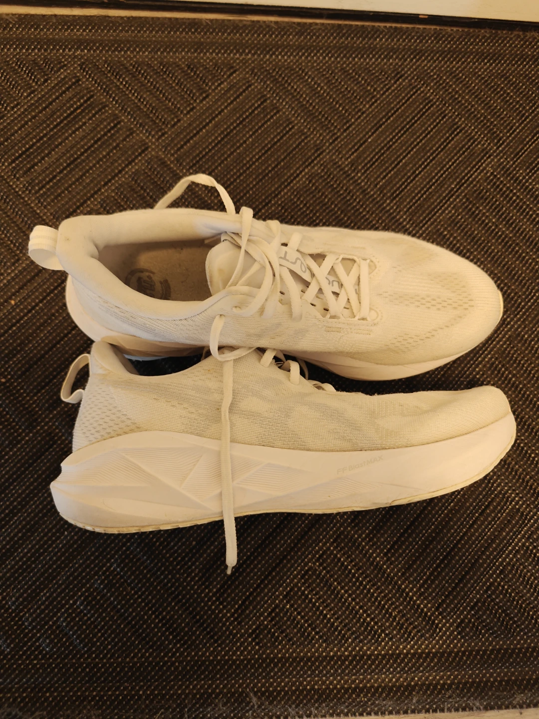 Asics Novablast 5 Running Shoes White