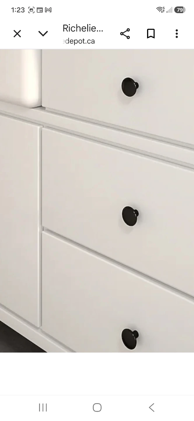 Richelieu Black Cabinet Knobs (Bulk)