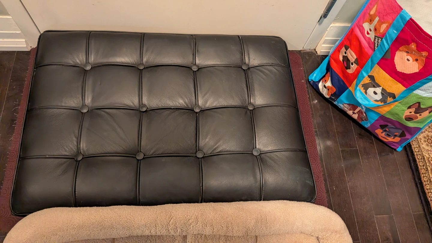 Dog Beds, Supplies Bundle