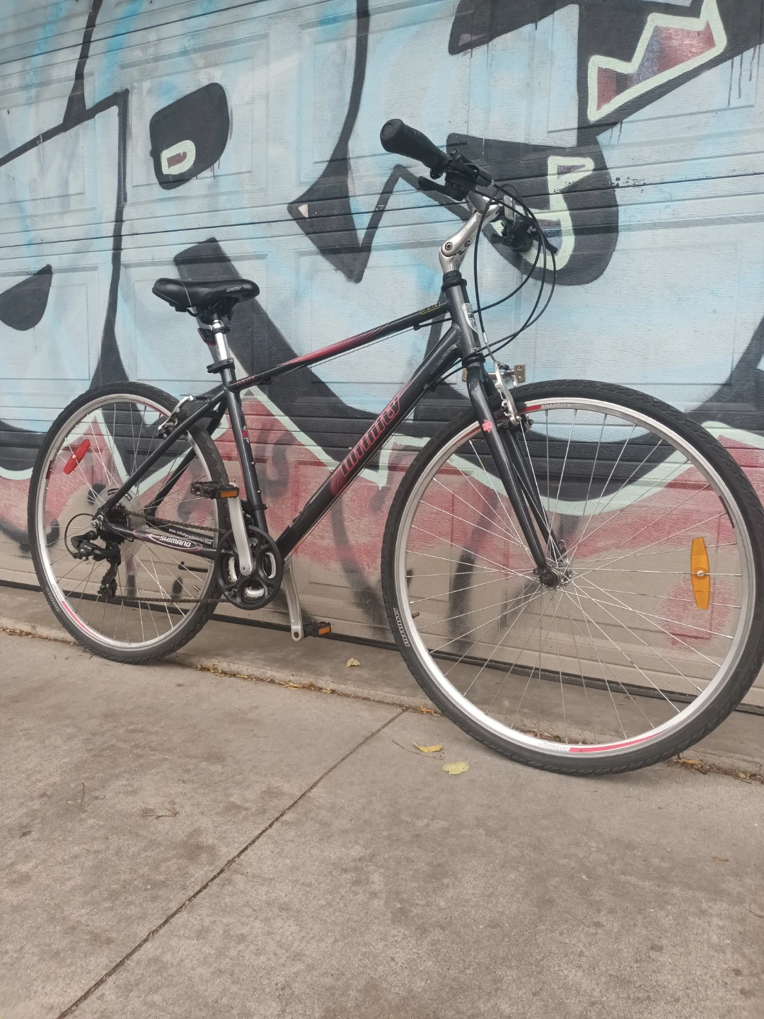 Infinity Hybrid Bike - photo 2