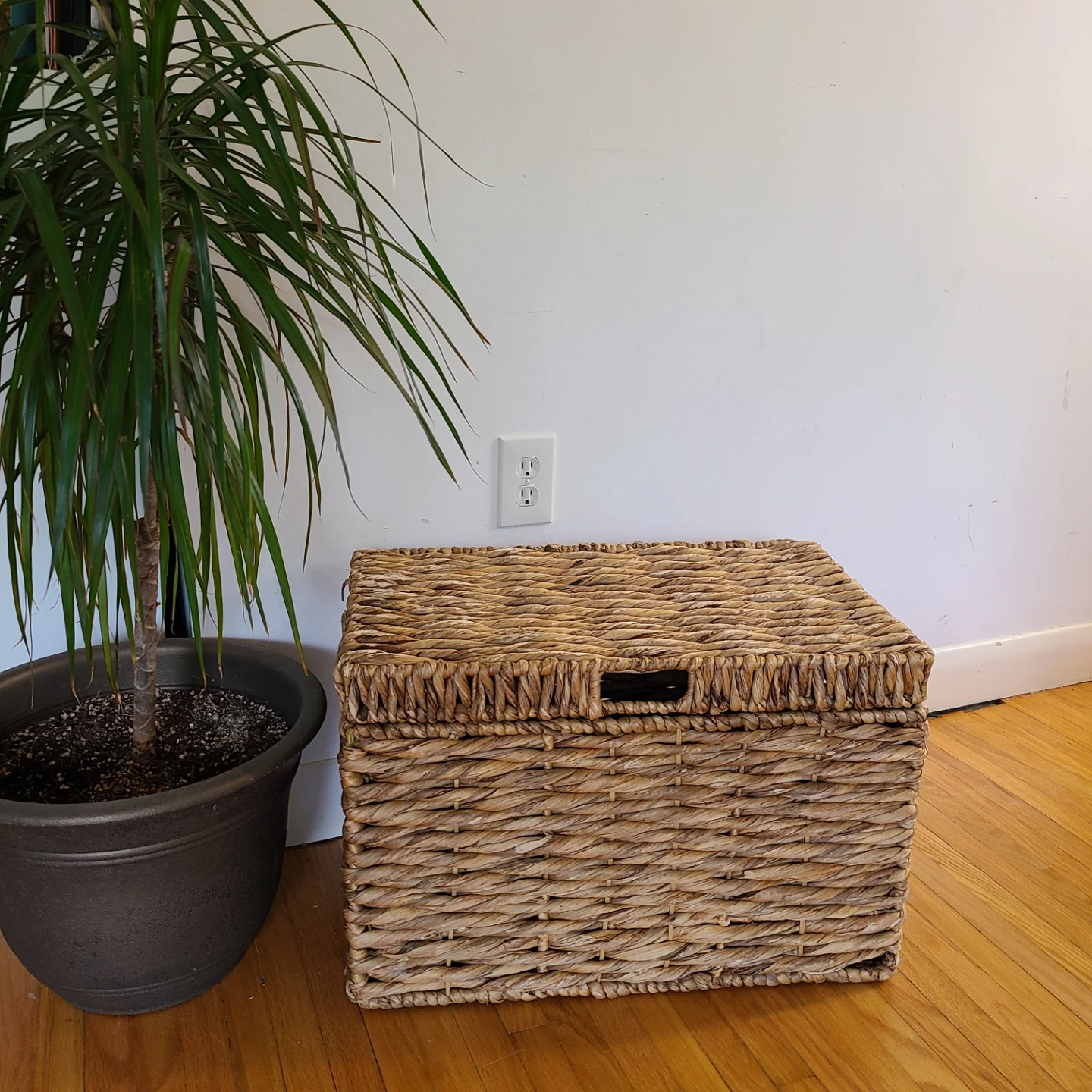 Woven Seagrass Storage Basket with Lid