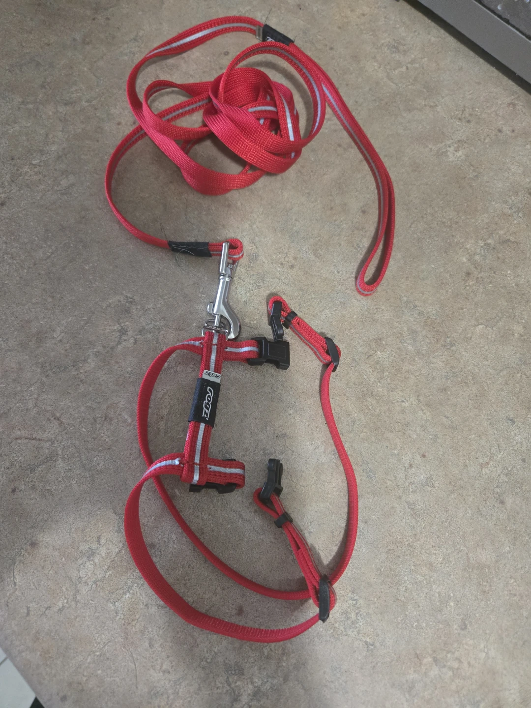 Cat harness and leash