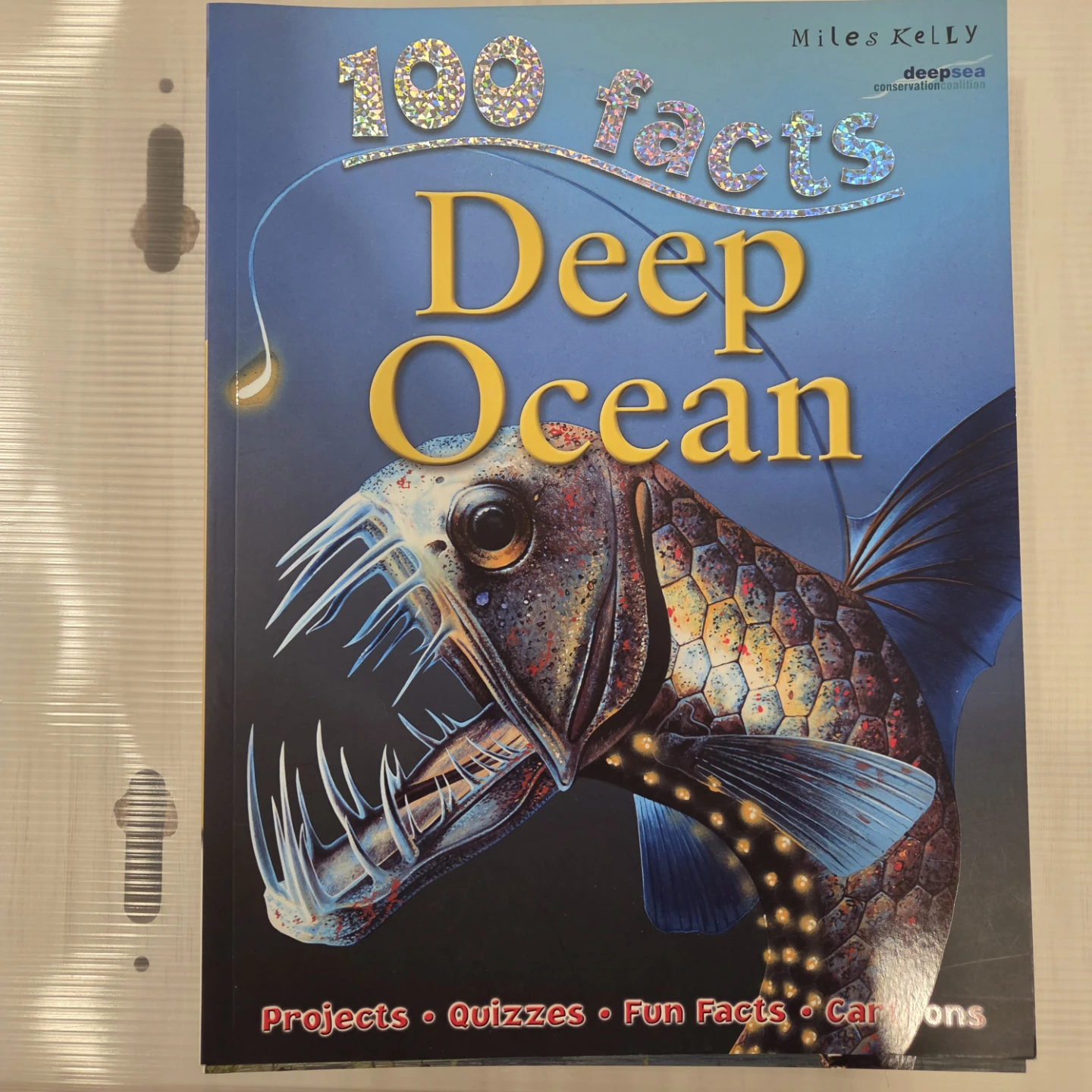 Collection of 5 Miles Kelly 100 Facts Books