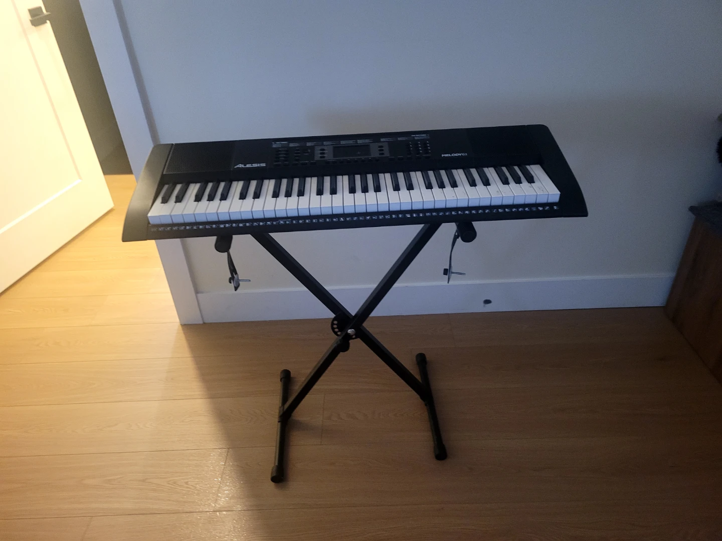 Alesis Melody 61 Keyboard with Stand - photo 2