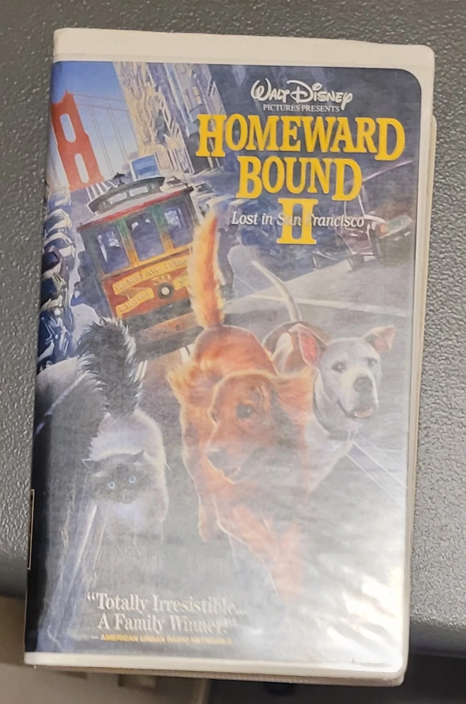 Movies and dishes and picture frames - photo 5