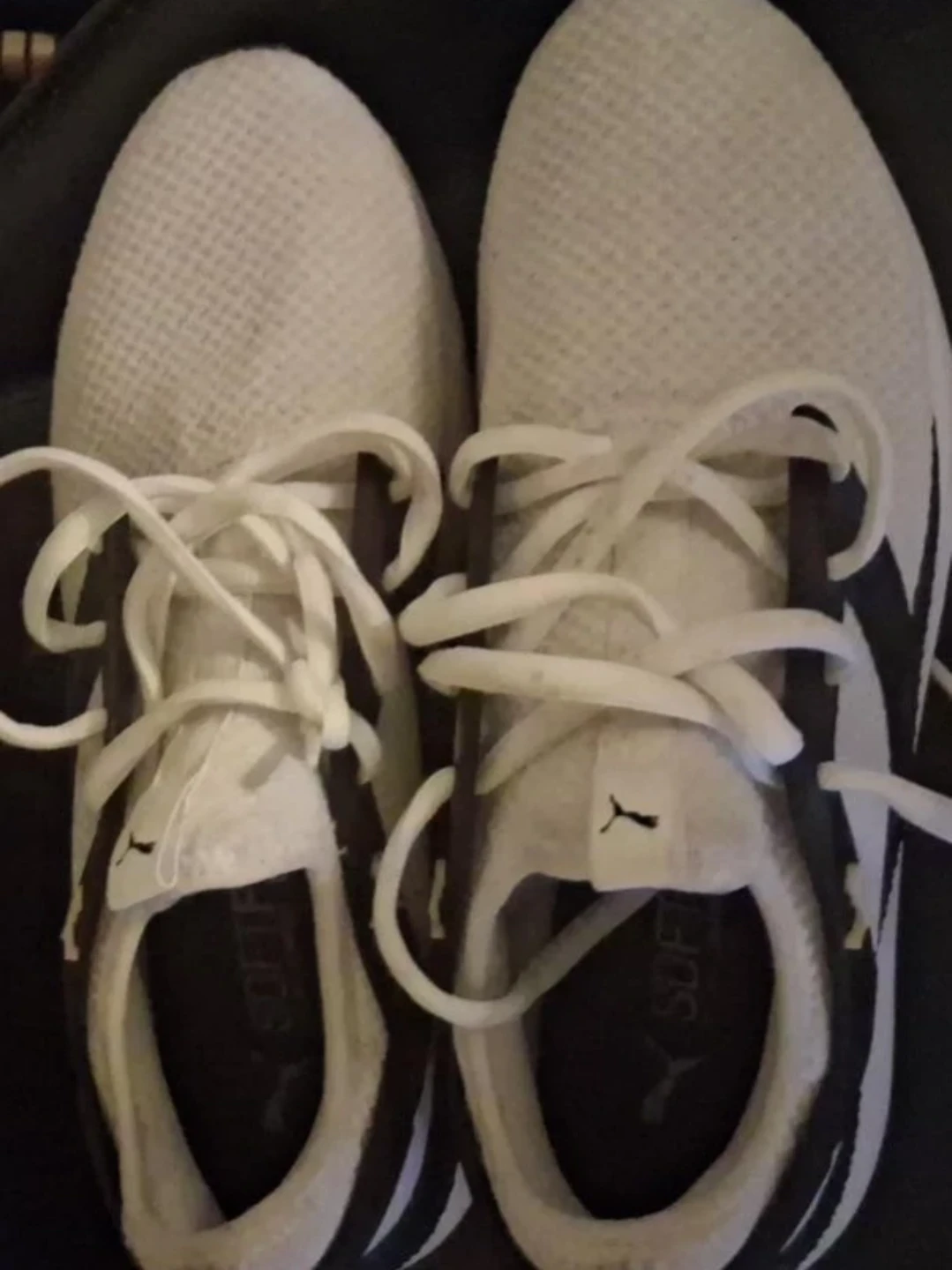 Puma SoftFoam White Sneakers