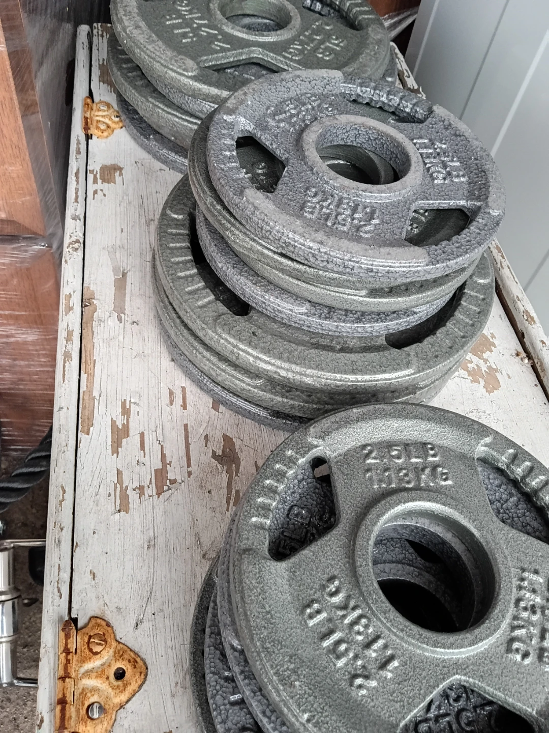 2.5 LB Weight Plates