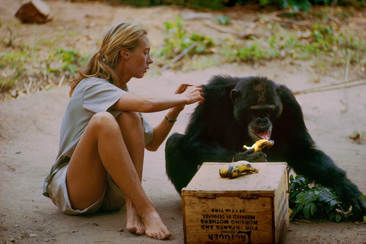 Heather's Hike for Hope ft. Jane Goodall (Share/Doante) - photo 4