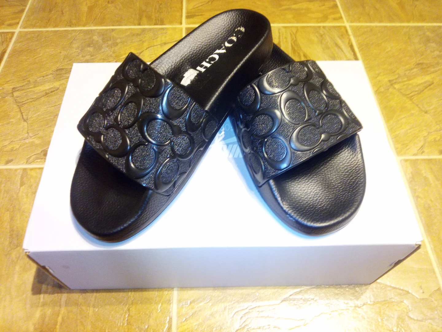 Coach slides