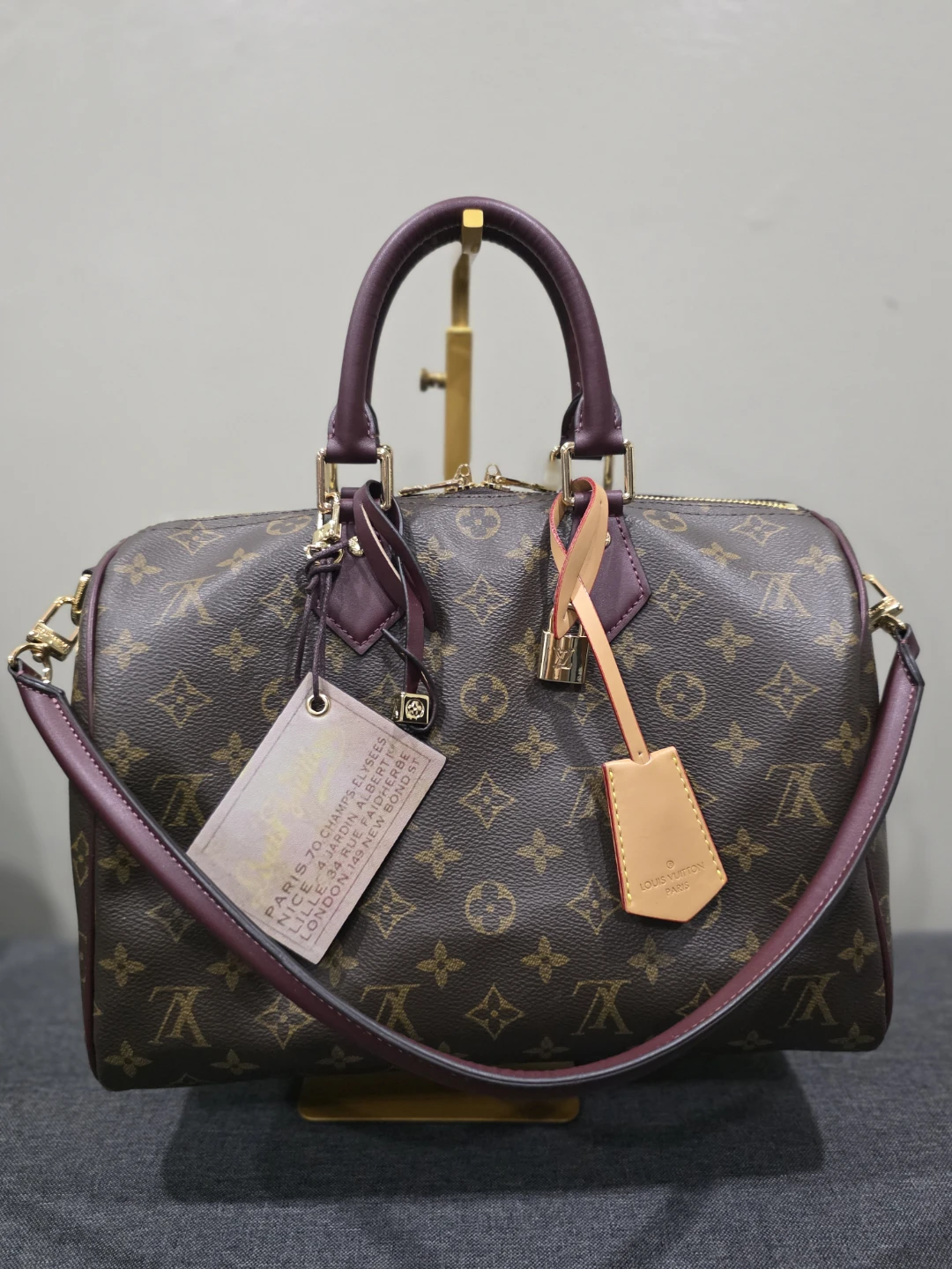 Speedy Bandouliere 30 Monogram