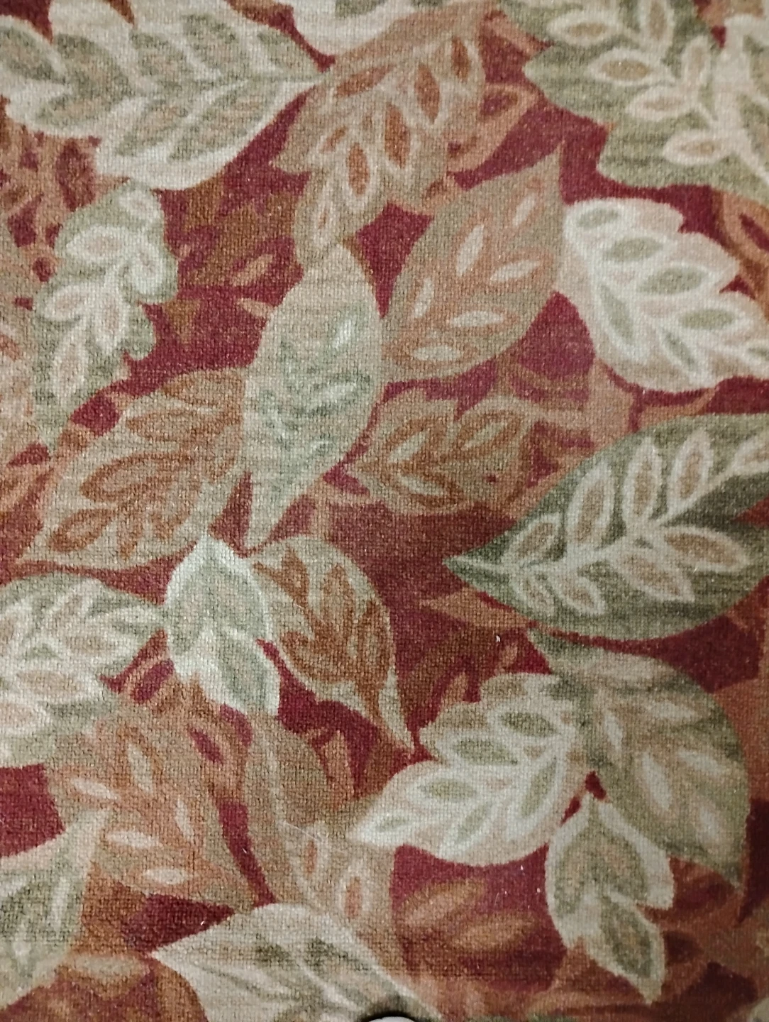 Fall 🍂/Winter Area Rug - photo 2