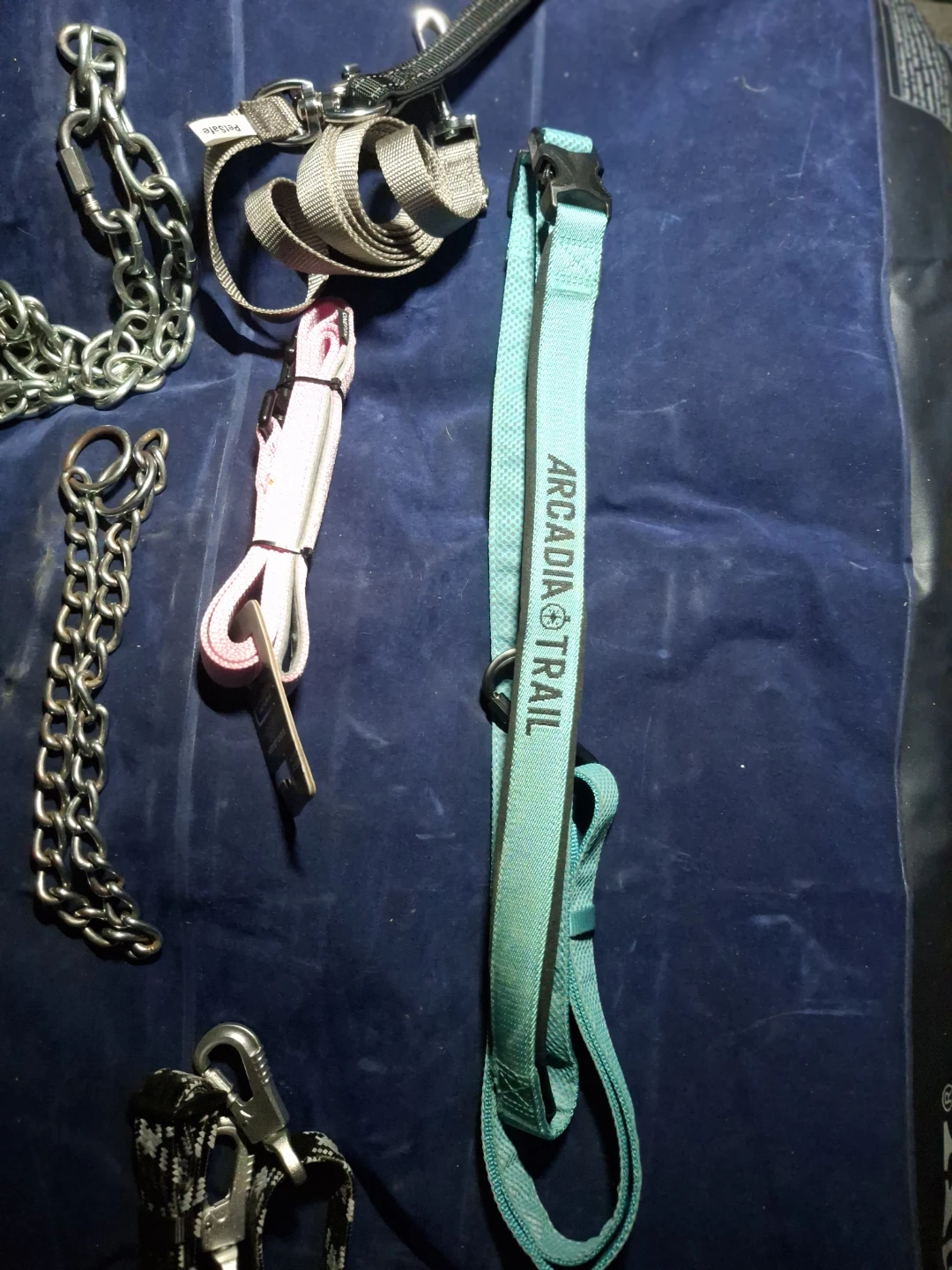Dog Supplies - photo 2