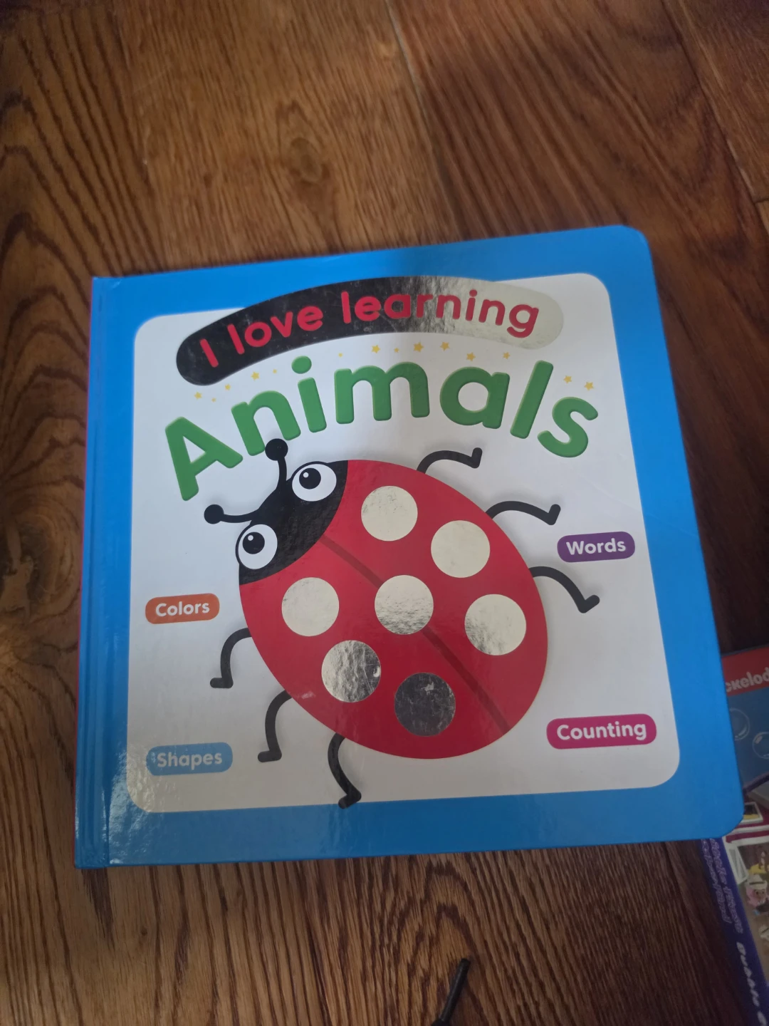 Set of 12 Assorted Children's Board Books - photo 2