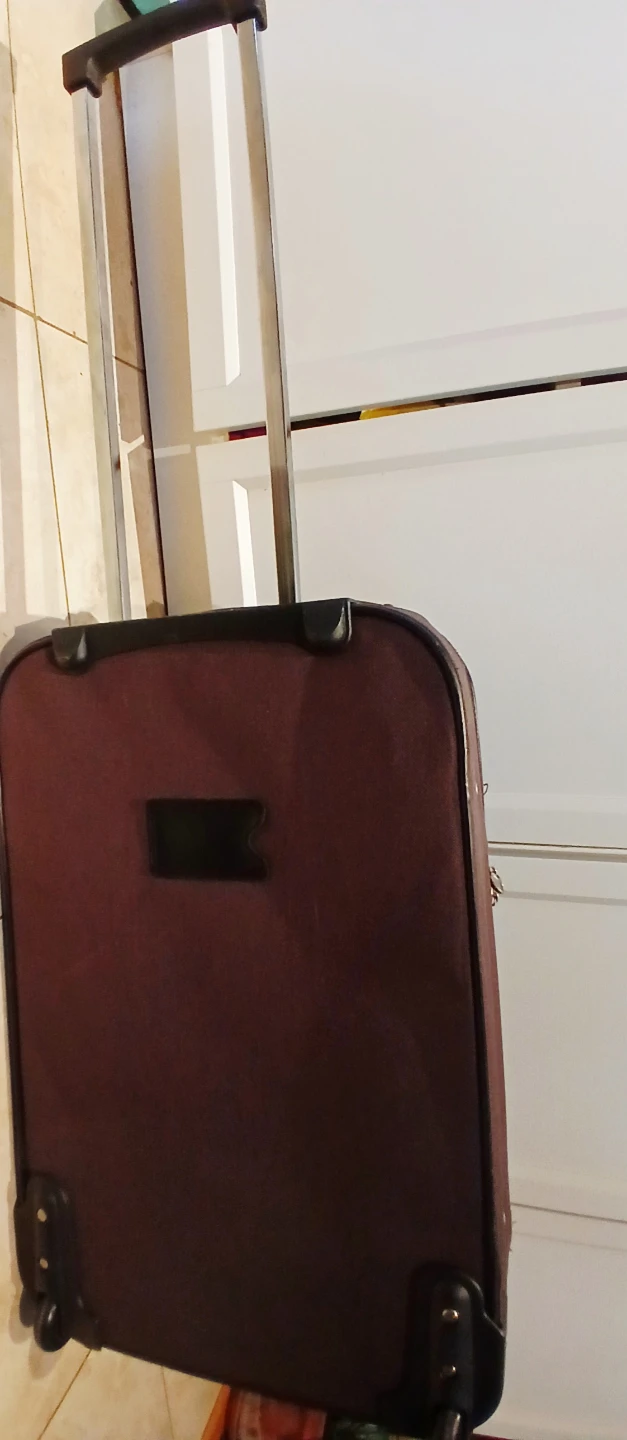 FREE Carry-On Rolling Suitcase - photo 2