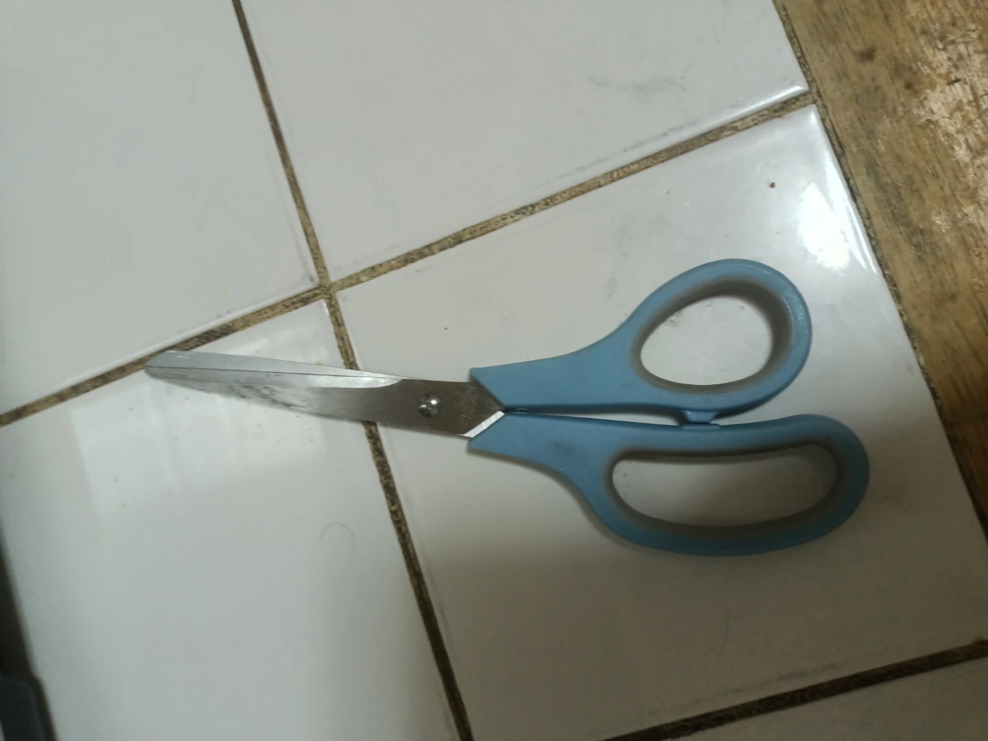 Blue Handle Scissors🏈