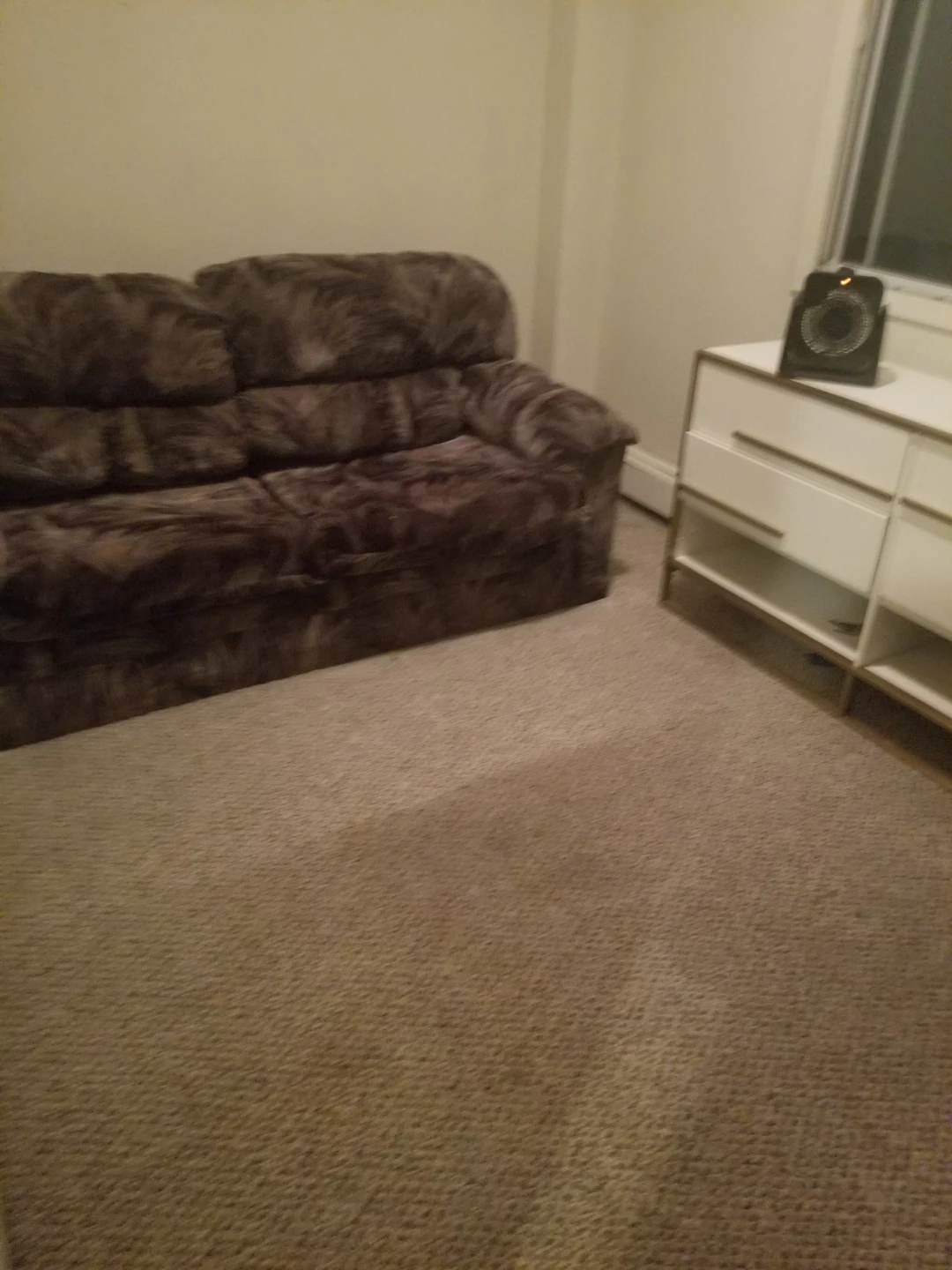Velvet patterned pull-out sofa