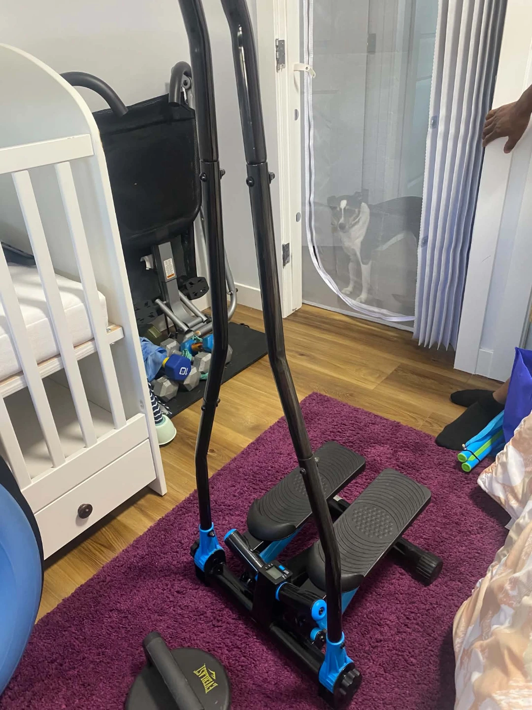 Everlast Fitness Stair Stepper
