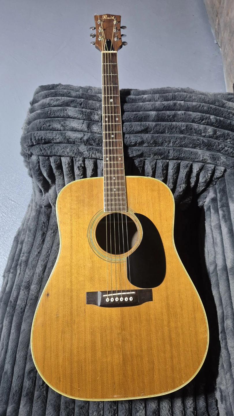 Semi Acoustic Guitar