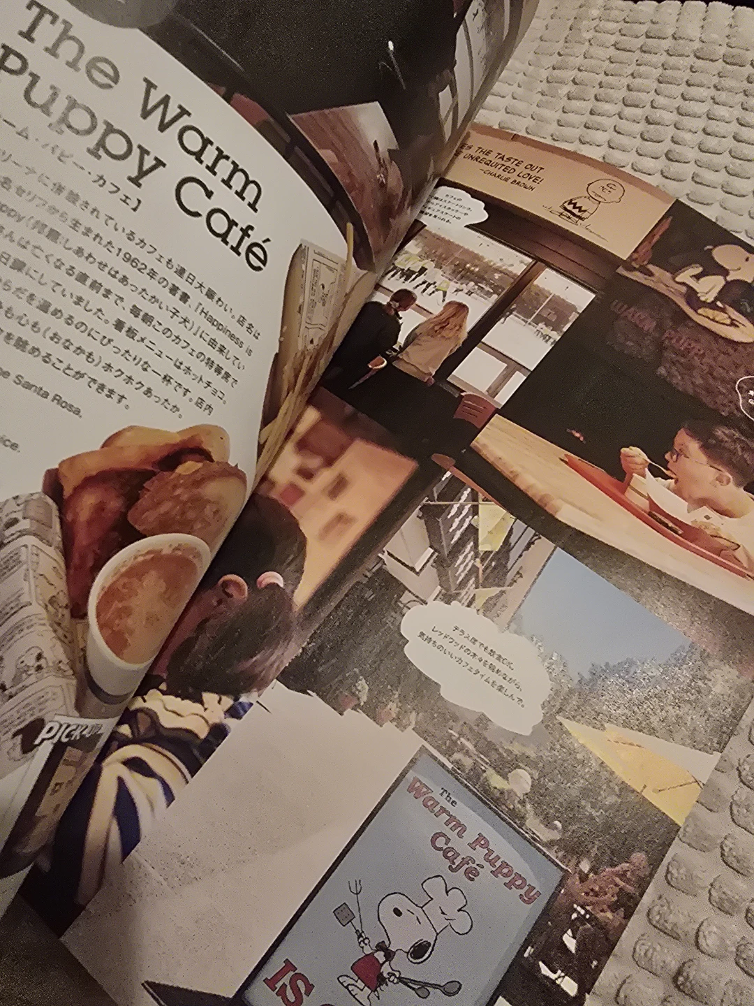FUDGE Magazine October 2026 Peanuts Edition - photo 4