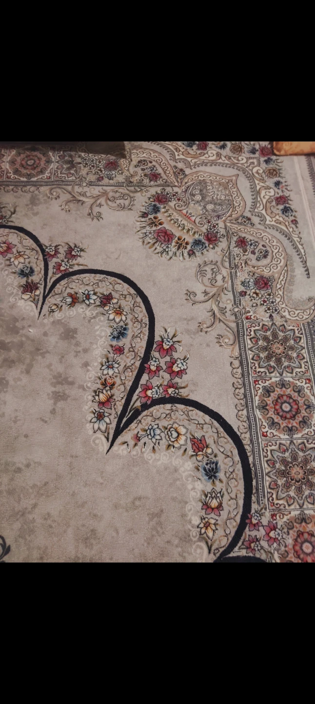 Large Area Persian Rug with Oriental Design - photo 2