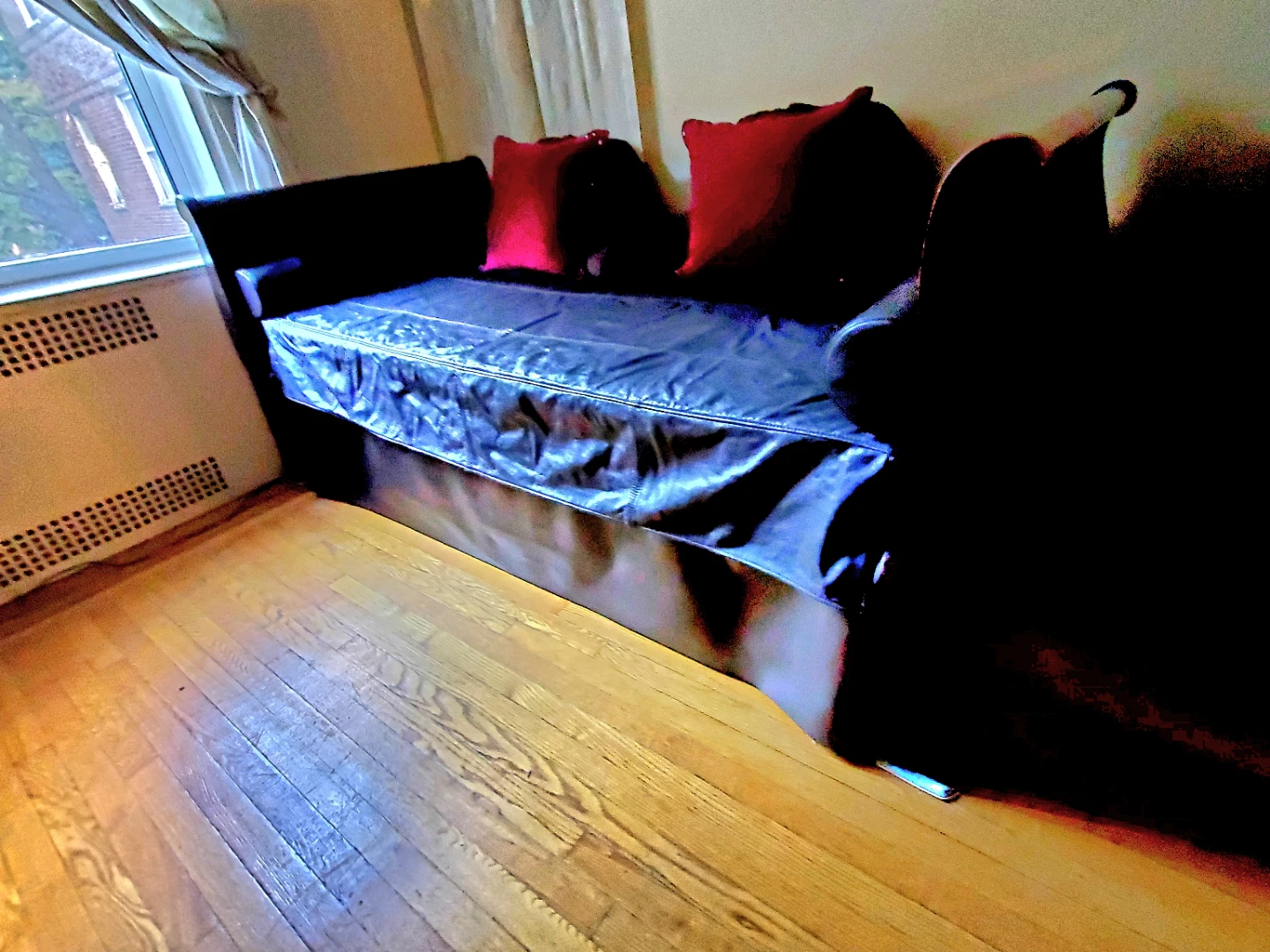 Black Twin Size Daybed with Trundle