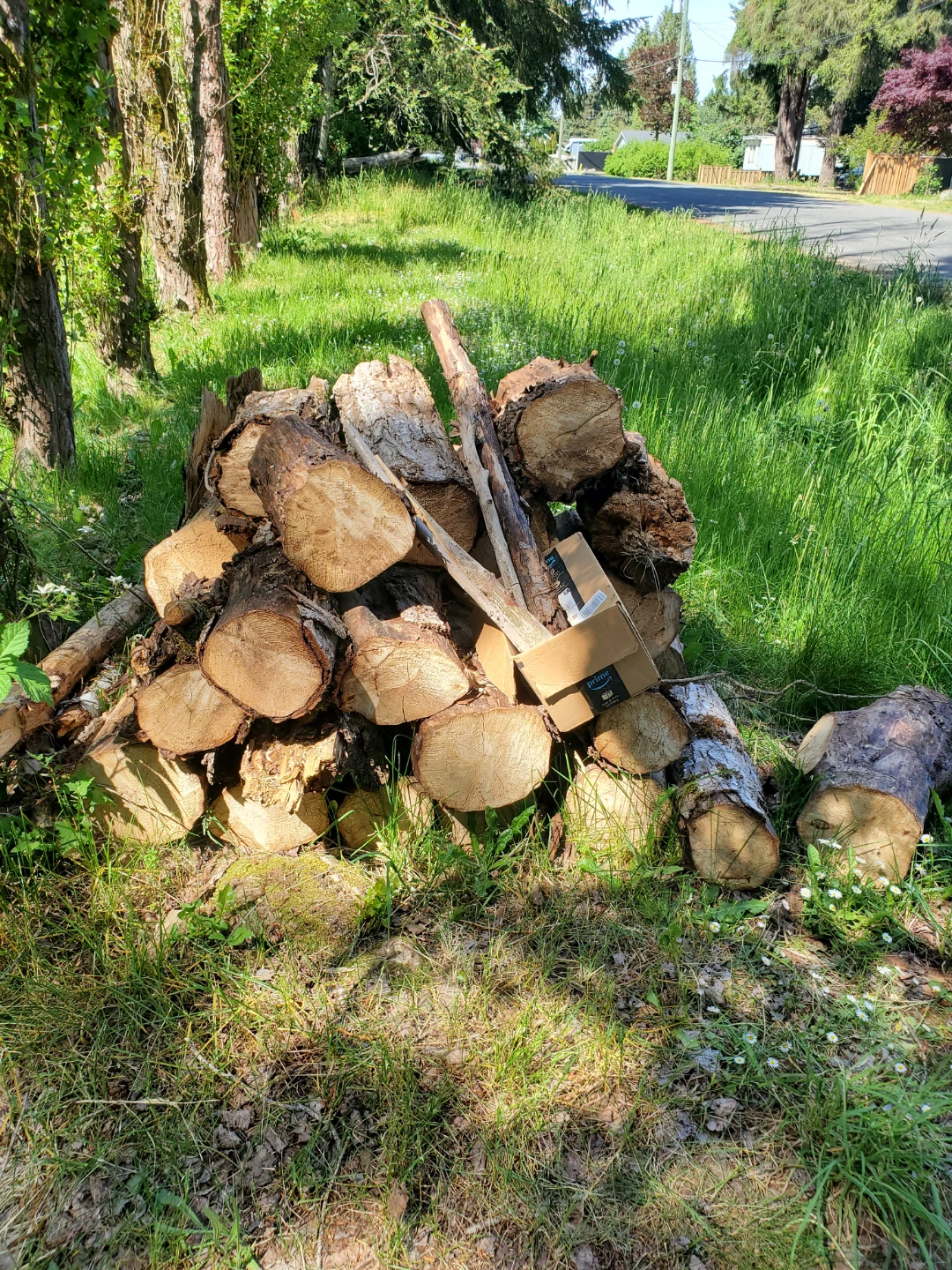Assorted of Wood Pieces - photo 4