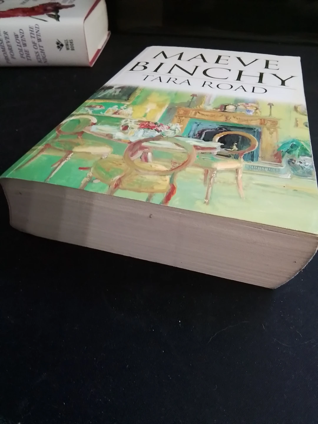 Tara Road by Maeve Binchy - photo 2