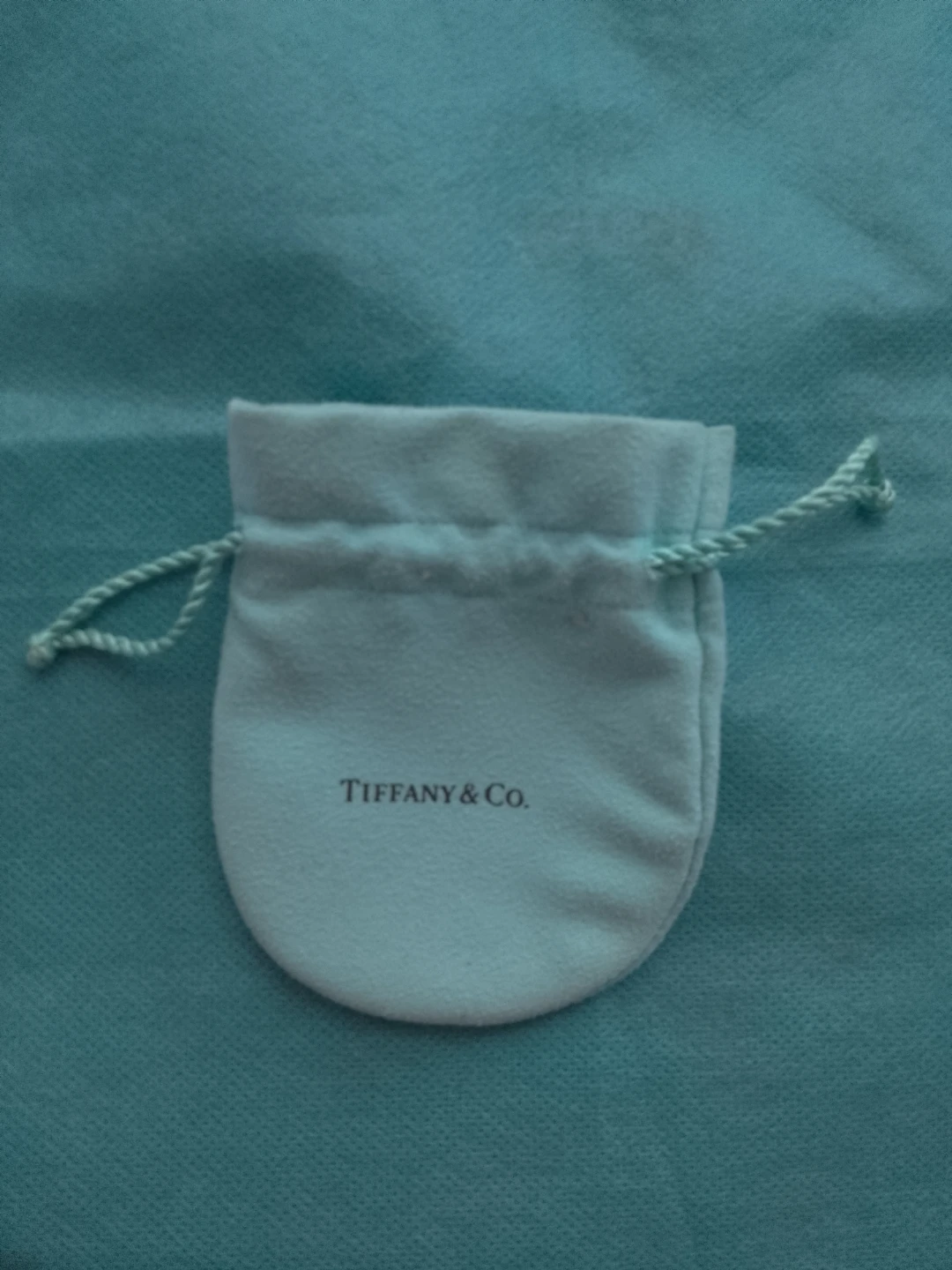 Tiffany & Co. Jewelry Pouch 🏈