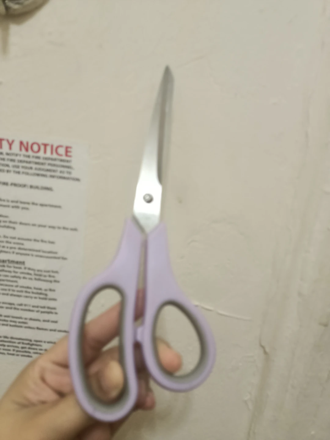 Lavender Handle Stainless Steel Scissors🏈
