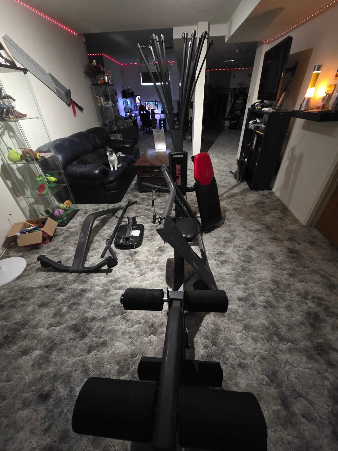 Bowflex Elite Home Gym - photo 3