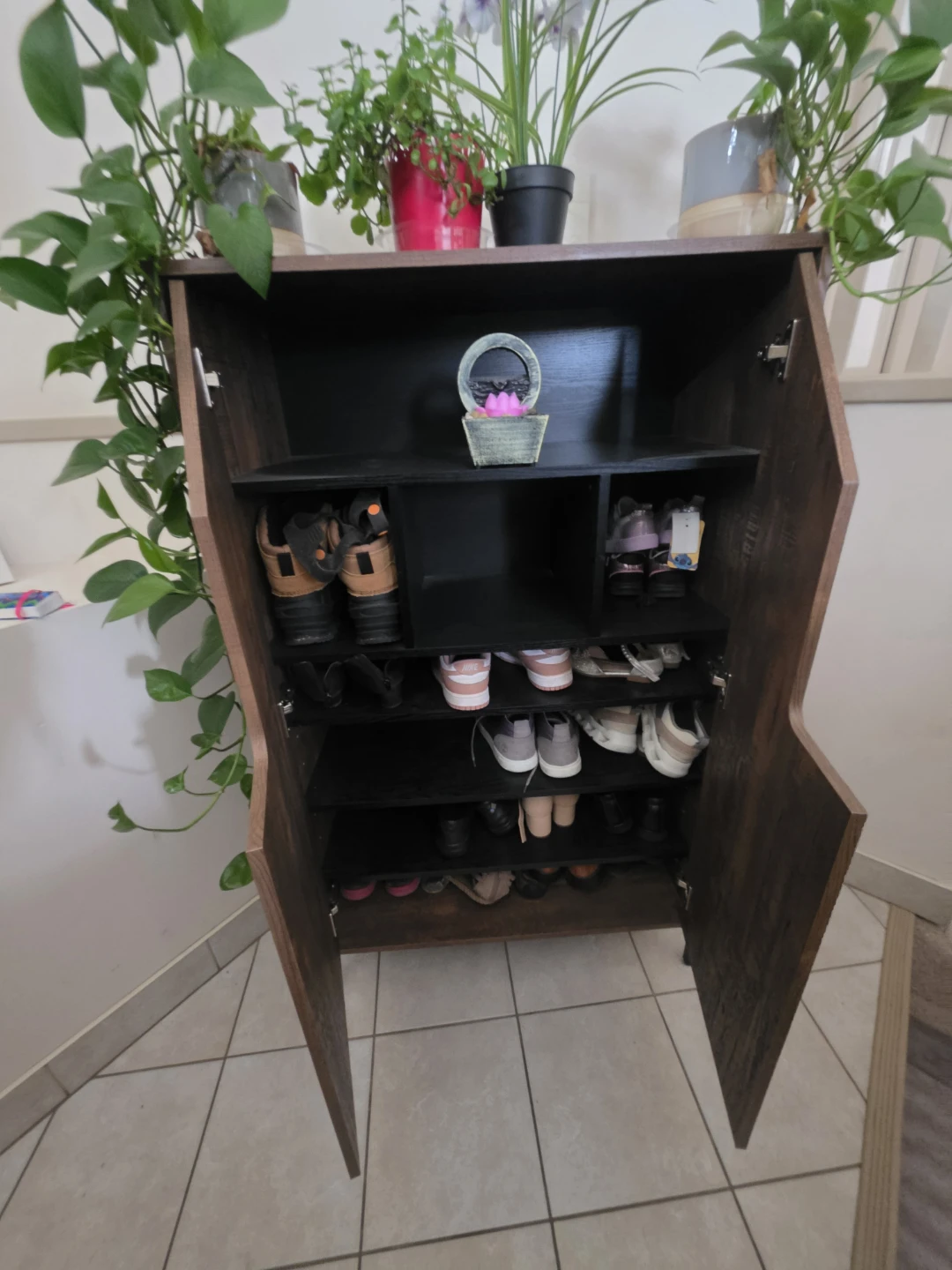 Carbon Loft Cassini Rustic Accent Cabinet/ shoe cabinet - photo 3
