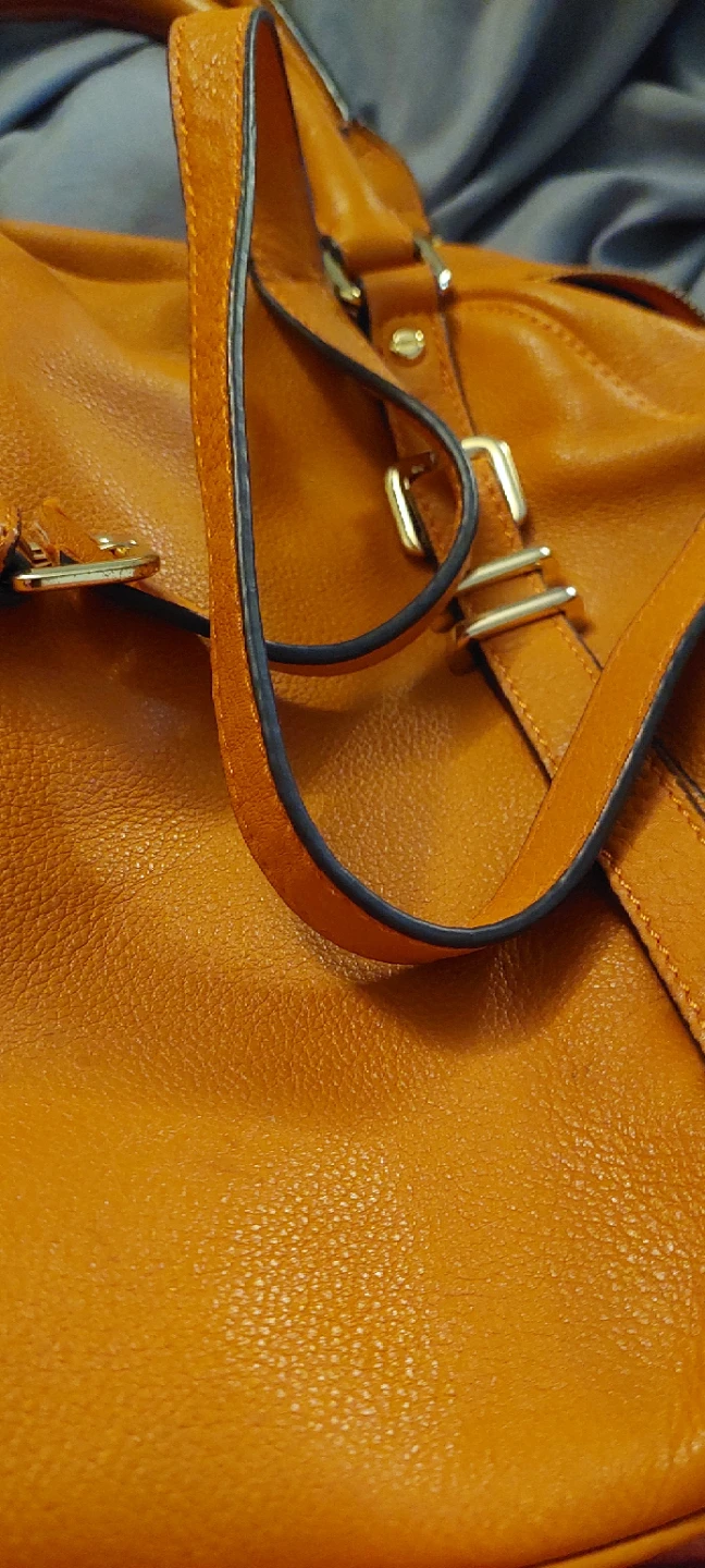 Danier Orange Leather Handbag