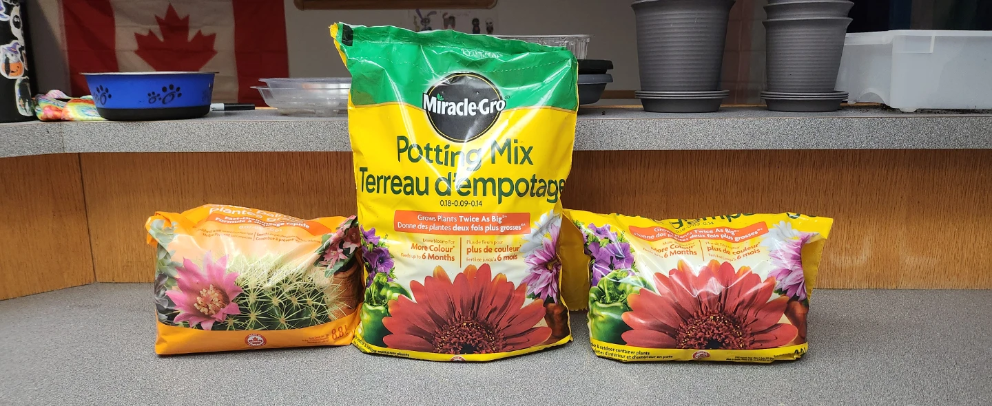 Miracle-Gro Potting Mix and Cactus Mix Bundle