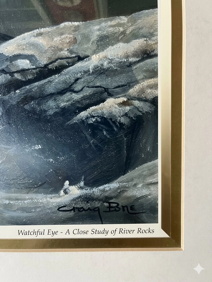 Craig Bone Watchful Eye Framed Print - photo 3