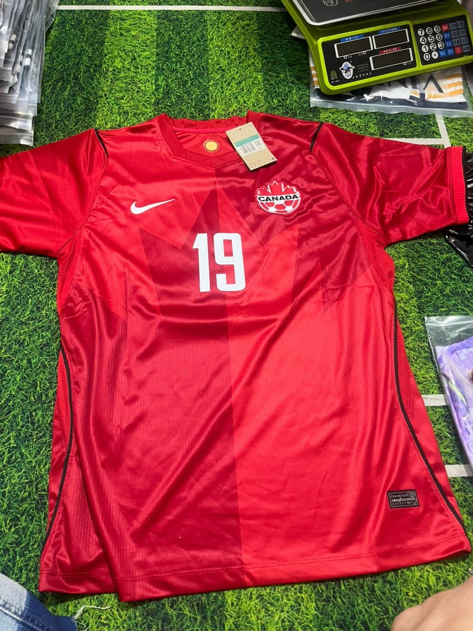Alphonso Davies #19 Canada national team jersey - photo 2