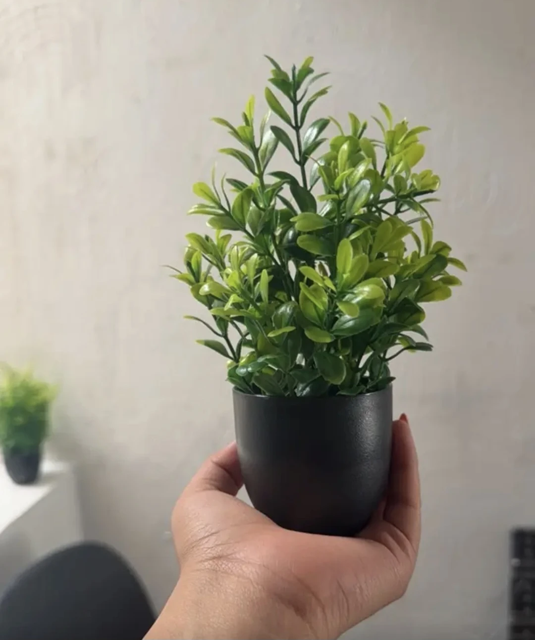 Set of 4 Artificial Plants in Black Pots - photo 5