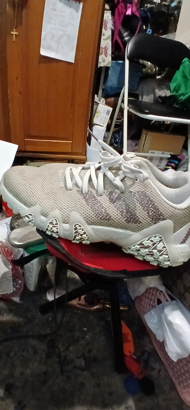 Adidas Running Shoes