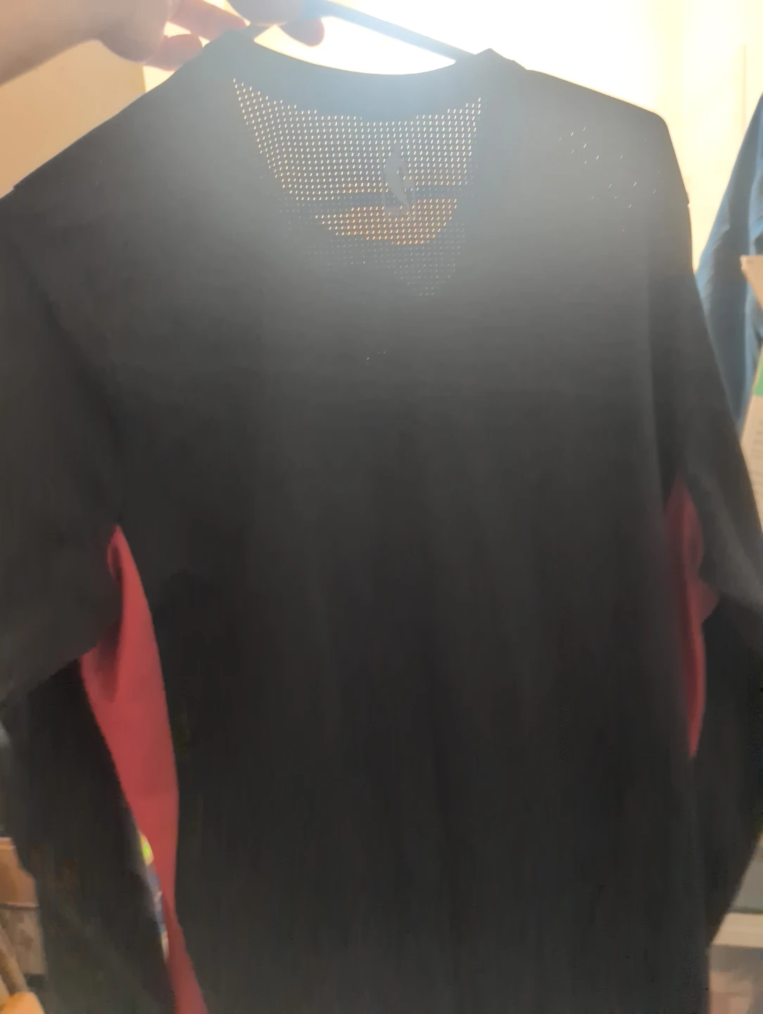 Nike Toronto Raptors Long Sleeve Training Top - photo 2
