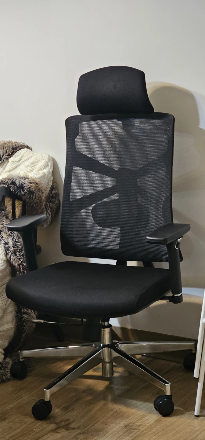 Black Ergonomic Mesh Office Chair