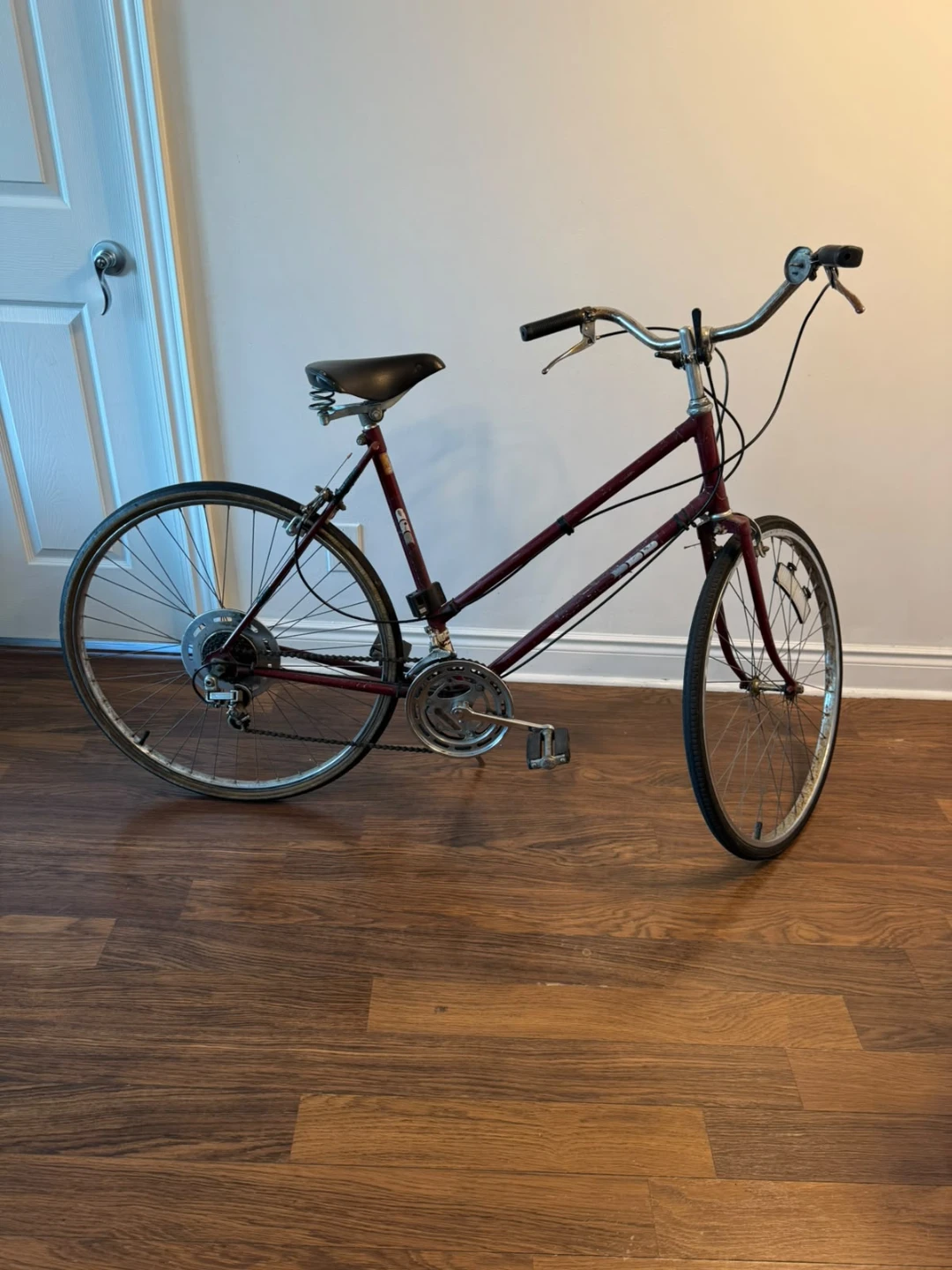 Maroon Women's Road Bike