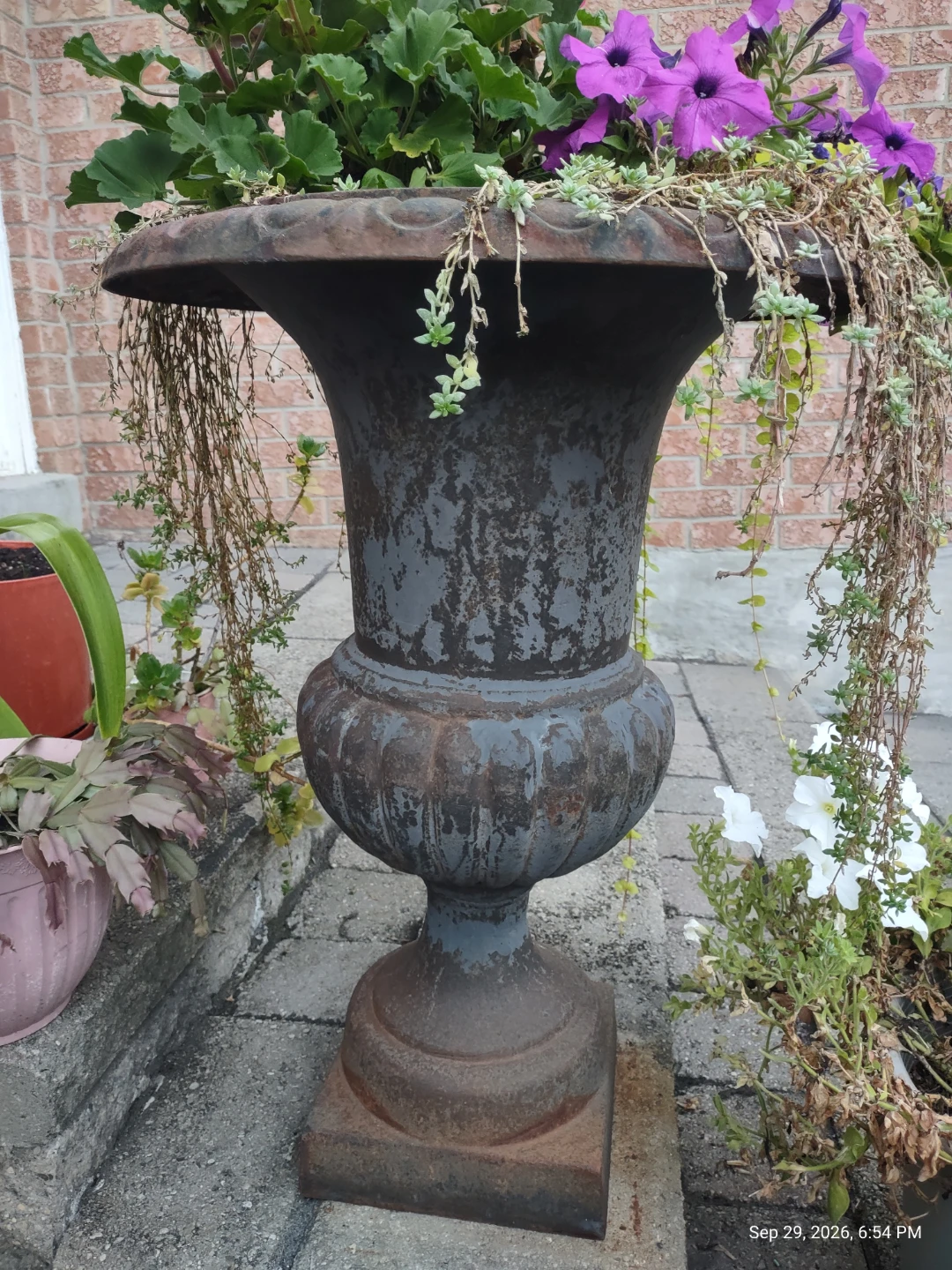 Large Cast Iron Urn Planter