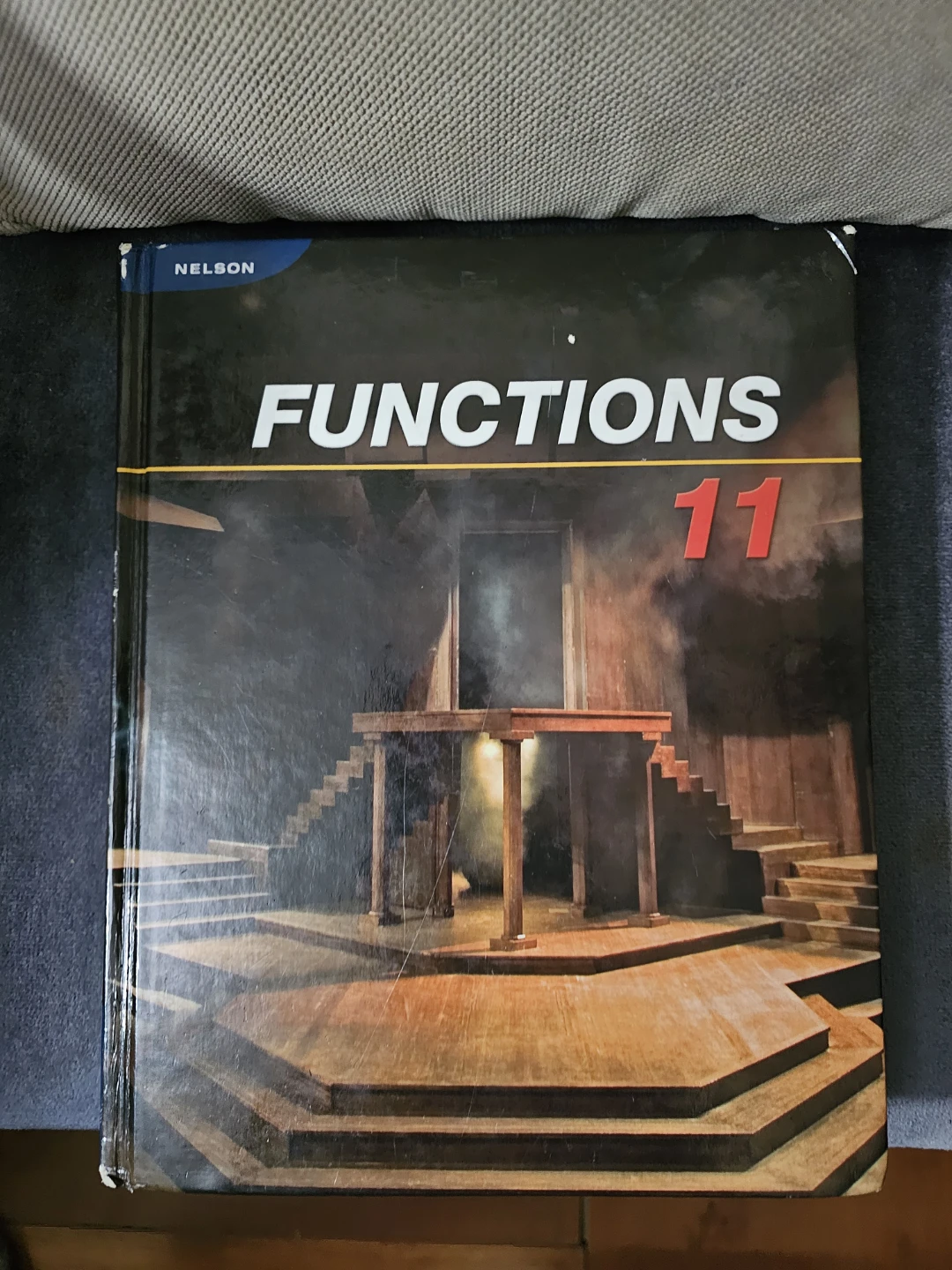 Nelson Functions 11 Textbook