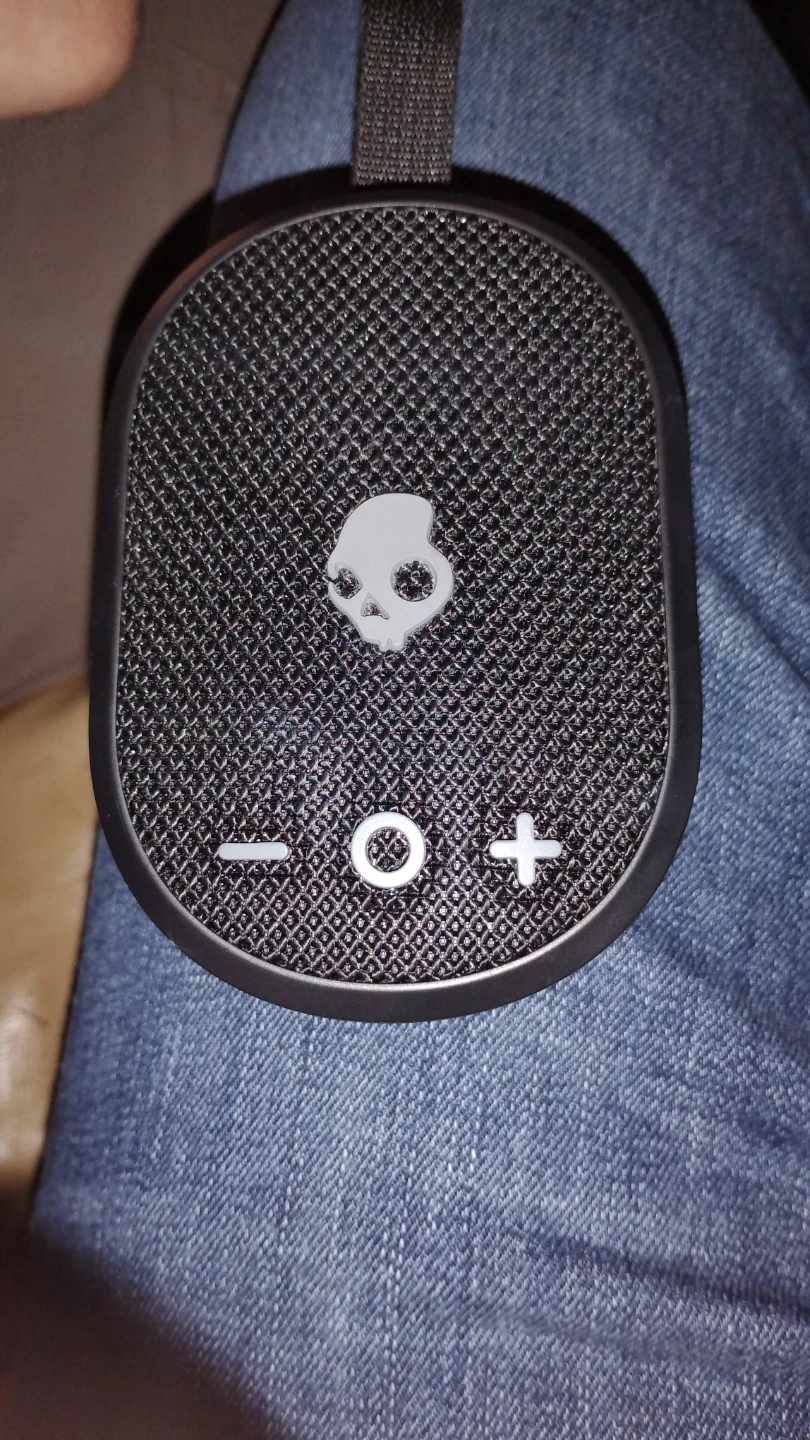 Skullcandy Dumb Loud Bluetooth Speaker